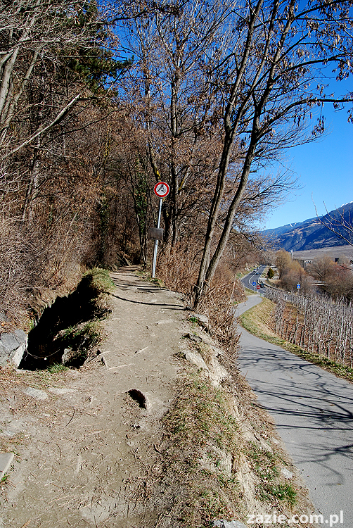 droga z Vason na Monte Bondone do Monachium