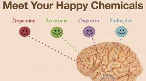nieustające wakacje.