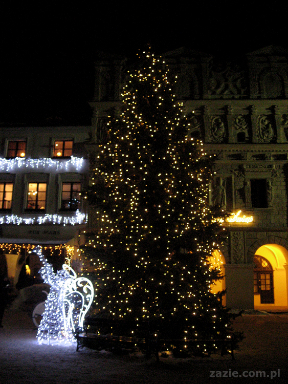 Kazimierz Dolny nad Wisłą