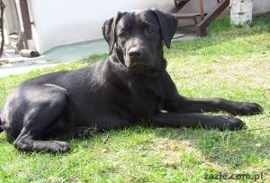 miłość od pierwszego wejrzenia