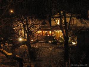 cześć, drobiowy zwierzu! – w dolnym kazimierzu