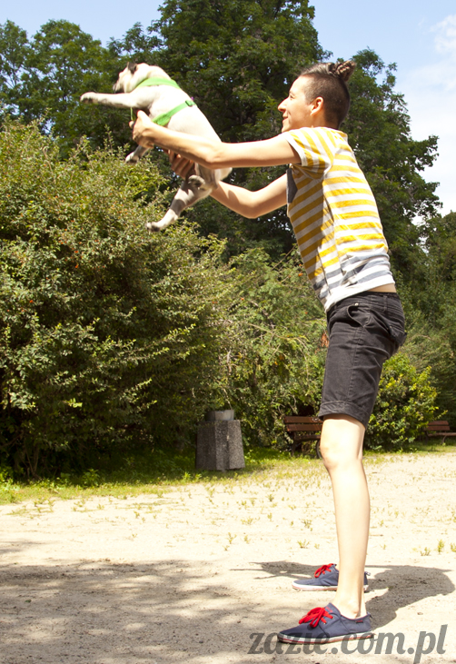 mopsy Kumok i Miszur w parku Sue Ryder na Starej Ochocie mopsy Kumok i Miszur śmieszne psy pugs mopsiki