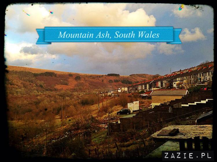 mountain_ash_south_wales