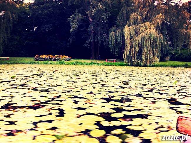 jeziorko kamionkowskie w parku skaryszewskim
