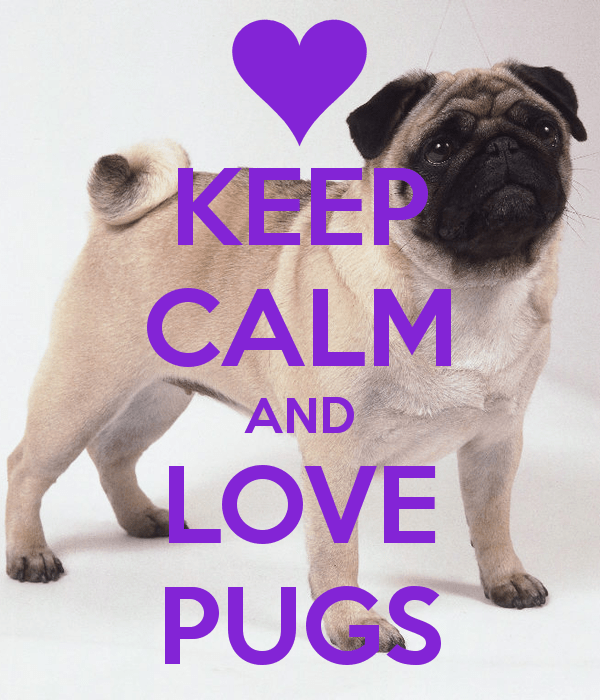 keep-calm-and-love-pugs-19
