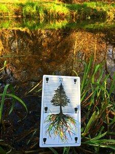 karta dnia: SZÓSTKA KIELICHÓW