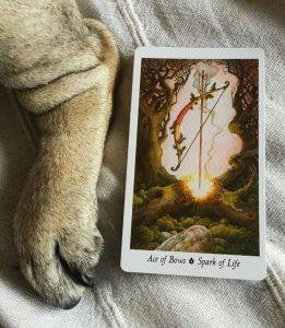 karta dnia: AS ŁUKÓW (czyli AS KIJÓW)