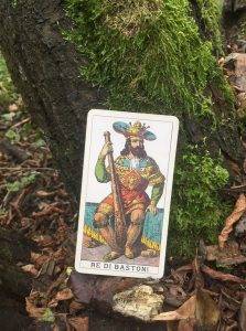 karta dnia: KRÓL KIJÓW