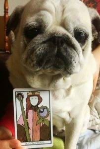 karta dnia: KRÓLOWA KIJÓW